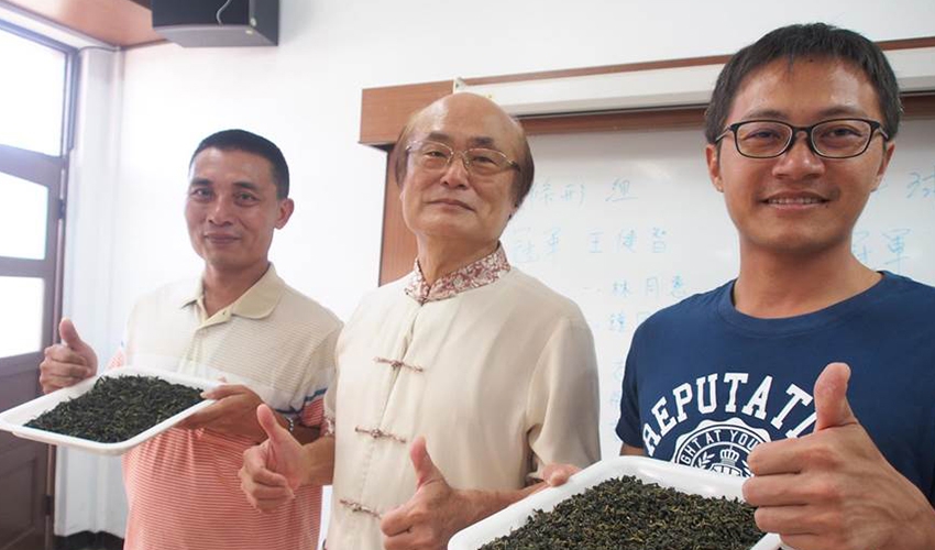 中時電子報：全國製茶技術競賽 35歲詹宗翰新科茶王